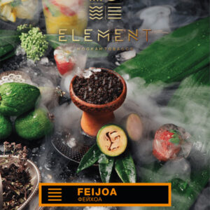 Табак Element Земля - Feijoa (Фейхоа) 40г