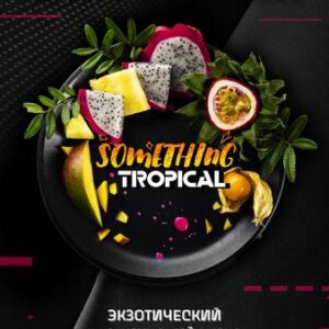 Табак для кальяна Black Burn - Something Tropical (Что-то тропическое) 25г