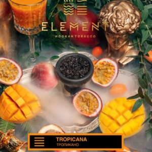 Табак Element Земля - Tropicana (Тропикана) 40г