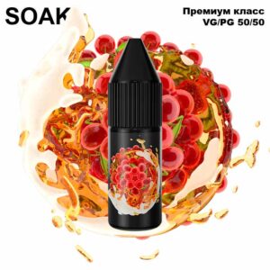 Жидкость SOAK L Salt - Fruit Belgian Beer 10мл (20mg) (Premium)