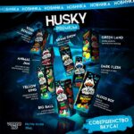 Жидкость Husky Premium Salt - Green Land 30мл (20 Strong)