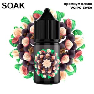 Жидкость SOAK L Salt - Mangosteen 30мл (20mg) (Premium) (M)