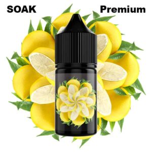 Жидкость SOAK L Salt - Pomelo 30мл (20mg) (Premium) (М)