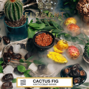 Табак Element Воздух - Cactus Fig (Кактусовый финик) 40г