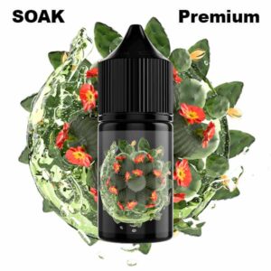 Жидкость SOAK L Salt - Cactus Lemonade 30мл (20mg) (Premium) (М)