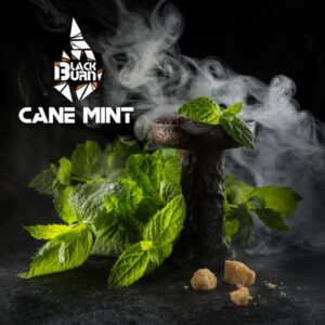 Табак для кальяна Black Burn - Cane Mint (Тростниковая Мята) 25г