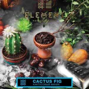 Табак Element Вода - Cactus Fig (Кактусовый финик) 40г