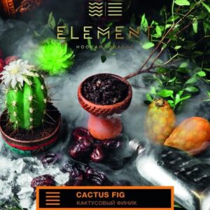 Табак Element Земля - Cactus Fig (Кактусовый финик) 40г